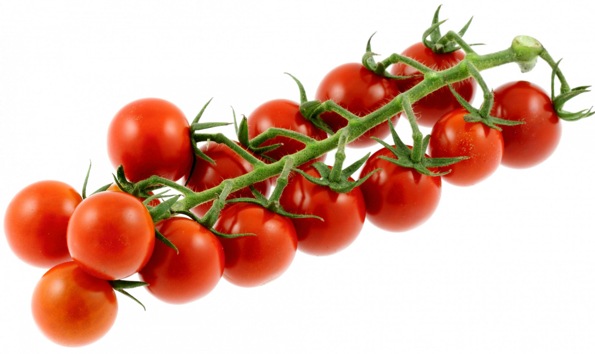 Tomate Cerise Extra en Barquette