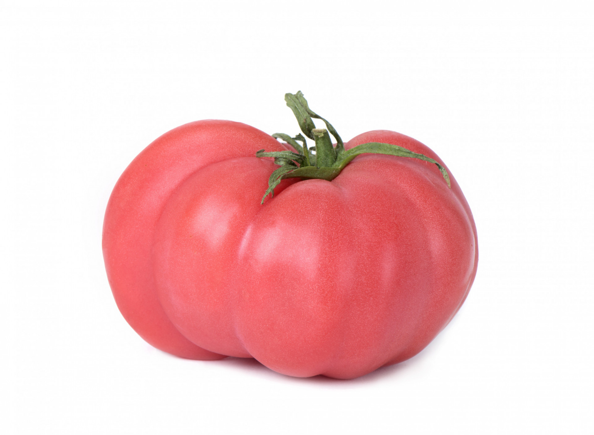 Tomate Cotelée type Ancienne Rose de Bern
